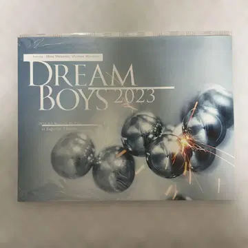 DREAM BOYS 팜플렛 와타나베 쇼타 모리모토 신타로