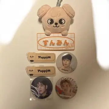 straykids 흠집 승민 퍼핌 배지 묶음 판매