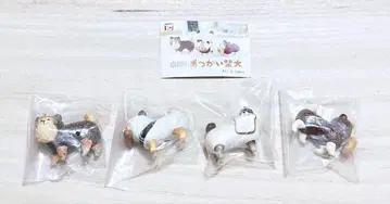 나무 조각 시바견 All 4 types 가챠 세트