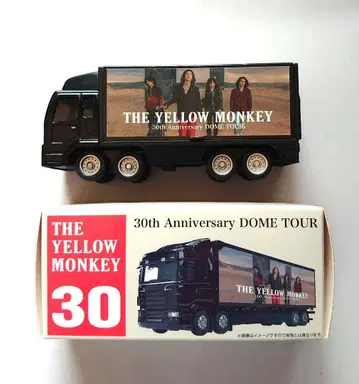 THE YELLOW MONKEY DOME TOUR 미니카