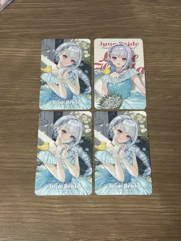 니지산지 준브라이드 준브라 카드 리제헬에스타