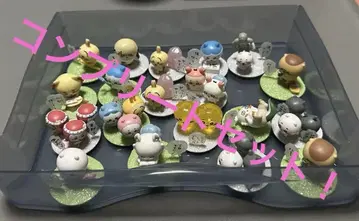 치이카와 초코 사프 컴플리트 세트