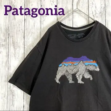 Patagonia 파타고니아 FITZ ROY BEAR 티셔츠