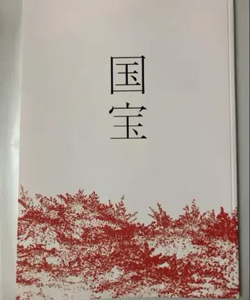 영화 국보 팜플렛 새상품 미독 요시자와 료 요코하마 유성