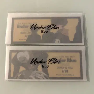 Eve Arena Tour 2025 Under Blue 입장 혜택 오사카