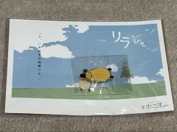 릴라비토 핀 배지 엽서