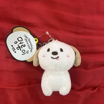 RIIZE 앤톤 몽리온 키링 봉제 인형 발렌타인