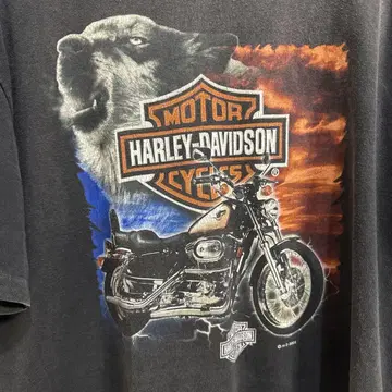 HARLEY-DAVIDSON 바이커 그래픽 티셔츠