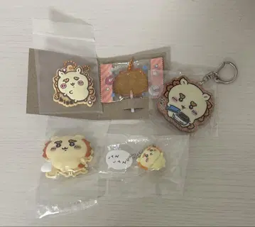 치이카와 시사