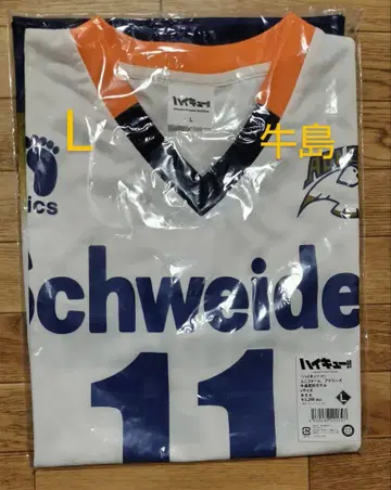 우시지마 와카토시 L 슈바이덴 아들러스 하이큐 유니폼
