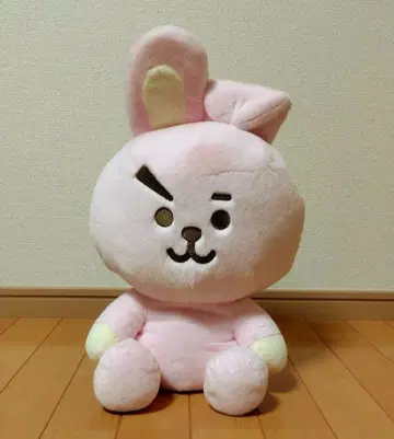 BTS BTS 봉제 인형 L 사이즈 COOKY