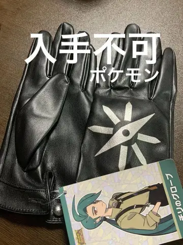 포켓몬 블랙 장갑 사천왕의 칠리 그로브. 초레어.