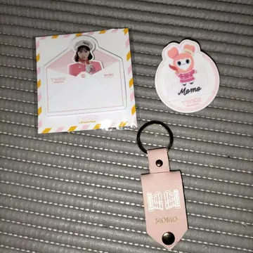 TWICE in Wonderland 키링 스티커 메모 허벅지 명찰