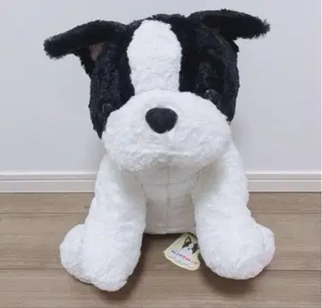 쿠타리 프렌치 불독 BIG