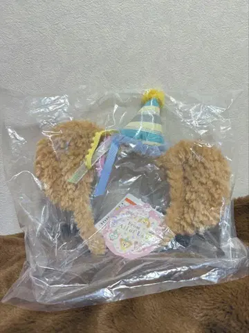 닷피 머리띠 프롬 오브 올 아스 40주년
