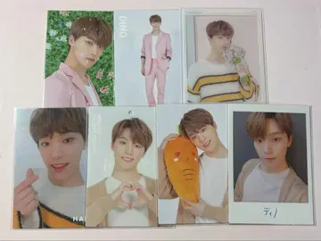 SEVENTEEN 세부치 트레이딩 카드 HARU 하루콘 디노 세트 정리