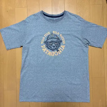 Patagonia 파타고니아 티셔츠 M