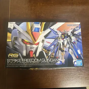 RG 스트라이크 프리덤 건담 ZGMF-X20A