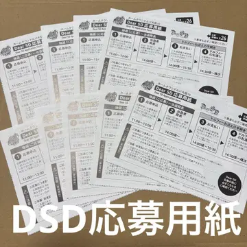 돌파 가이드북 응모 용지 DSD
