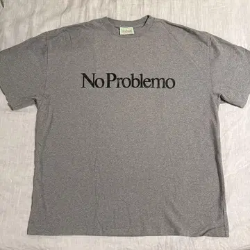 Aries No Problemo 티셔츠 그레이