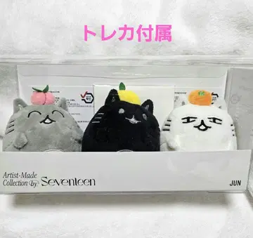 SEVENTEEN Jun 준 아티스트 메이드 봉제 인형