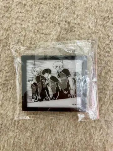 블루 록 전 액자 마그넷 컬렉션 버스터드 뮌헨 블루 록