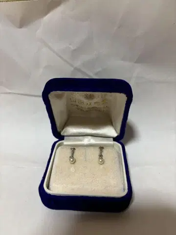 귀찌