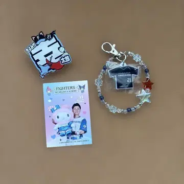 홋카이도 일본 햄 파이터즈 세이미야 코타로 선수 굿즈 모음