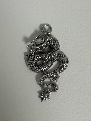 실버 드래곤 참