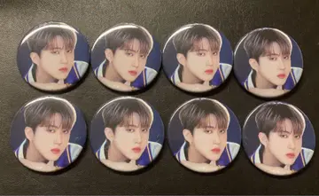 straykids 찬빈 캔뱃지 세트 묶음 판매