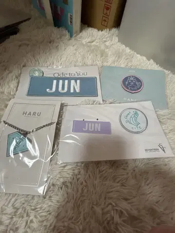 SEVENTEEN 세부치 JUN 와펜 배지 세트