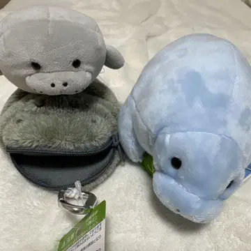 미라쿠수족관 마나티 봉제 인형