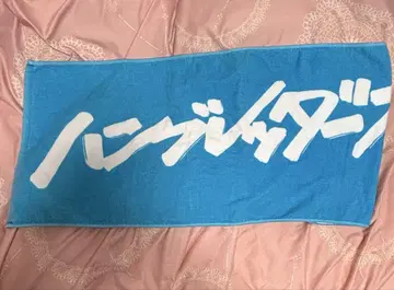함브레더스 타월