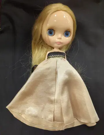 타카라토미 네오 브라이스 패션 오브 세션 제나 시리얼 넘버 포함