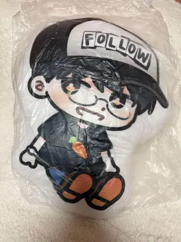 SEVENTEEN 원우 생일 쿠션