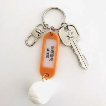 하이큐 열쇠 참 컬렉션 카라스노 고교