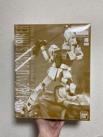 MG 1/100 헬스장 II 세미 스트라이커