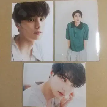 혼다 코야 팬미팅 랜덤 브로마이드 3장
