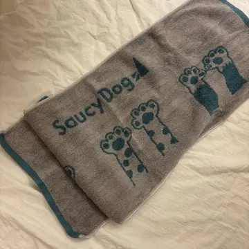 SaucyDog 타월