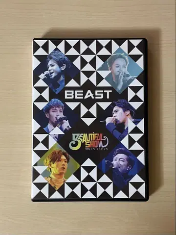 BEAST BEAUTIFUL SHOW 2014 DVD 하이라이트
