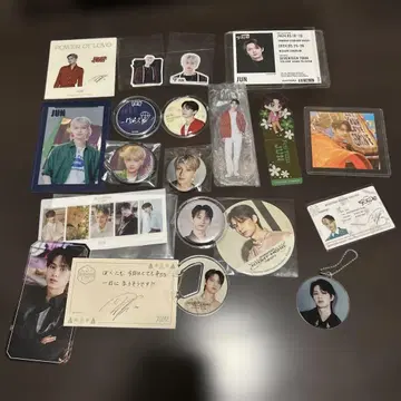Jun 세븐틴 과거 배지 및 기타