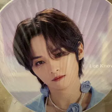 Stray Kids Lee Know 부채 5-STAR Dome Tour