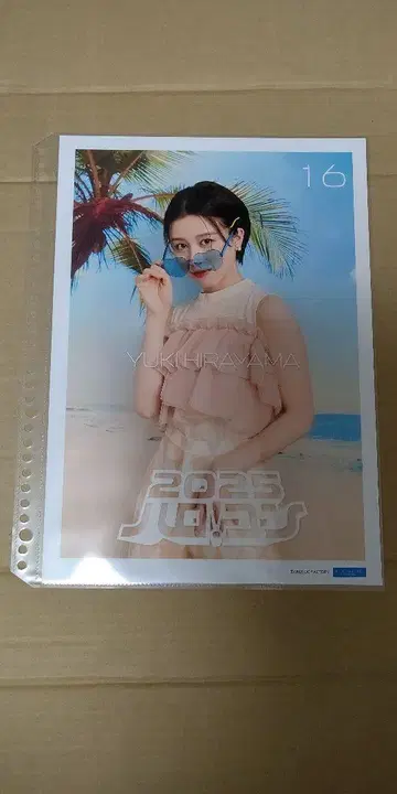 히라야마 유키 할로! 프로 2025 핑거 포스터 핑거 포스터 할로콘