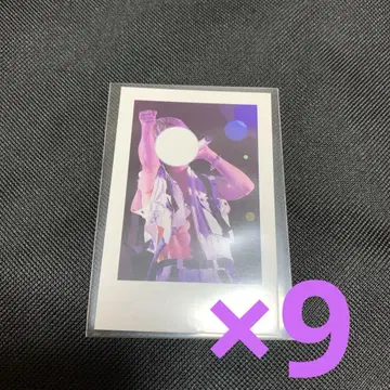 이레이스 초토 실사 폴라로이드