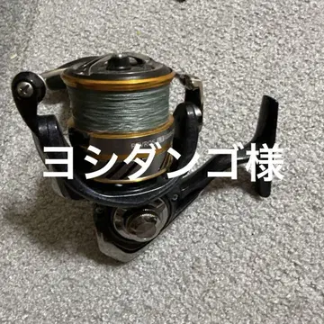 Daiwa REVROS 낚시릴 블랙/금