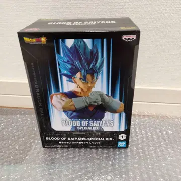 BLOOD OF SAIYANS 베지트