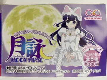 월영 MOON PHASE 피규어 세트 전 5종