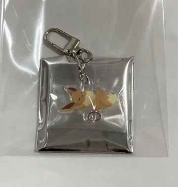 포켓몬 슬립 연결 아크릴 참 이브이