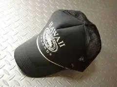 HAWAIIAN HEADWEAR 하와이 메쉬 캡 거의 미사용