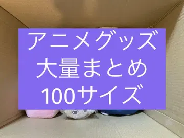 애니메이션 굿즈 비장르 잡화 대량 묶음 판매 100 사이즈 세트